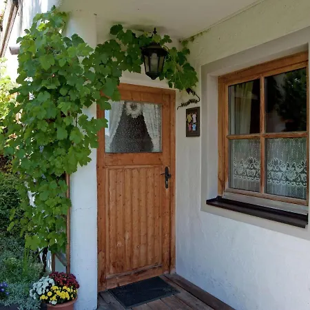 Animal Friendly In